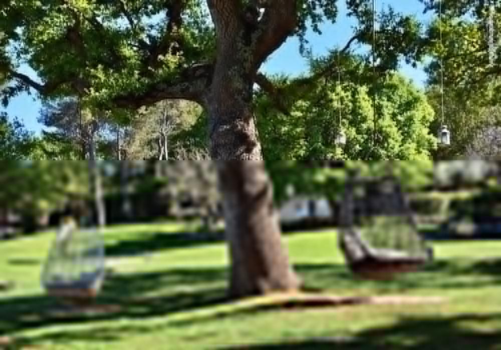 Tenuta Monacelle Monopoli Buitenkant foto